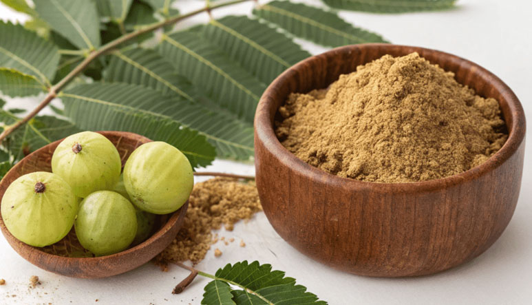 Amla Powder in India - Raygm DryTech