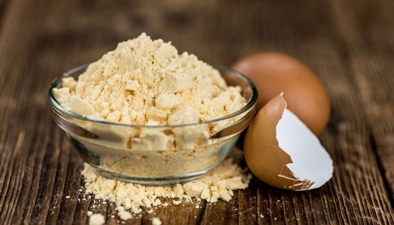 Egg Powder in India - Raygm DryTech