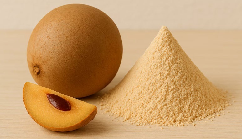 Sapota Powder in India - Raygm DryTech